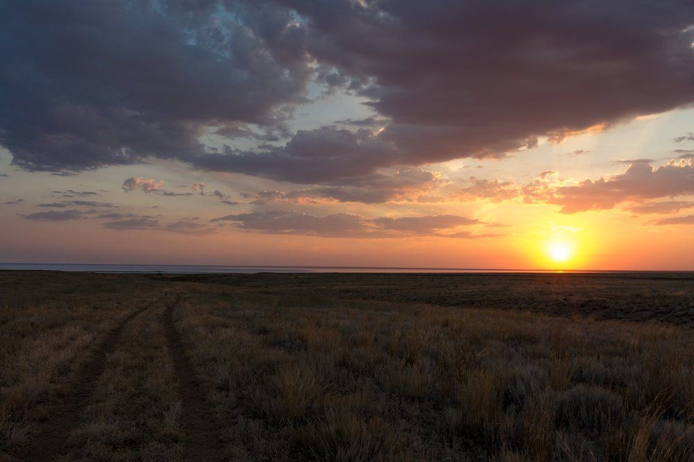 Прощание с Эльтоном