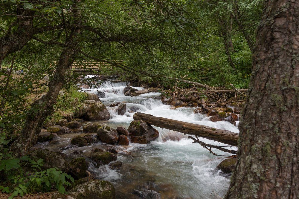 Минеральные реки Домбая
