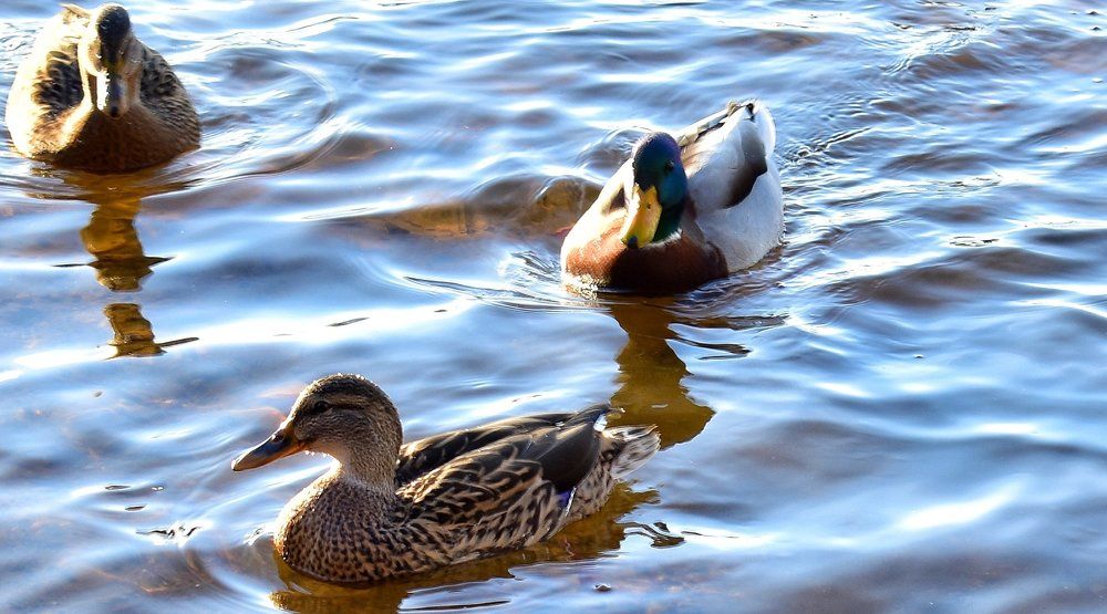 На солнышке