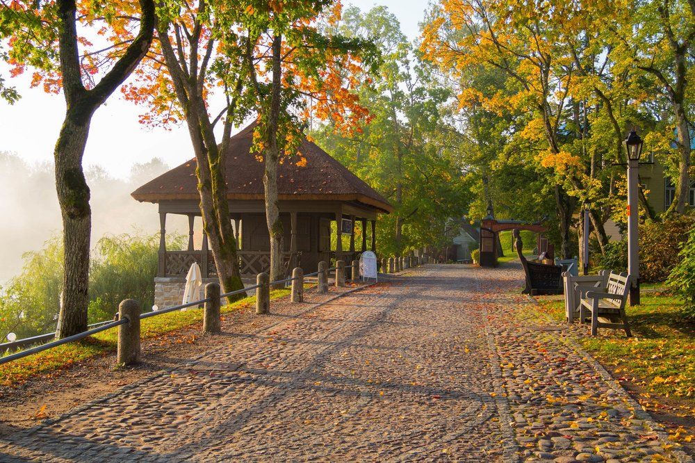 Утро туманное.