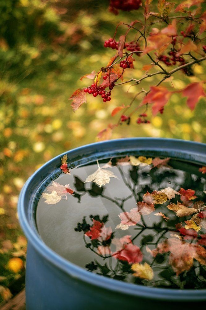 Photograph by Andrey Rut