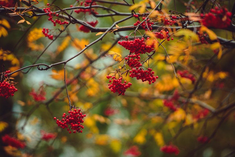 Photograph by Светлана Кужагалиева