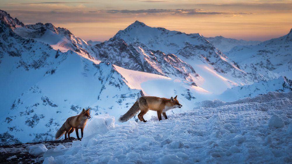 Закат в горах