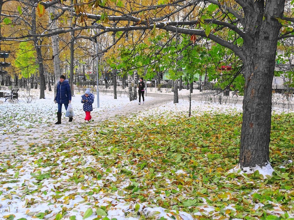 Первый снег. Обновление...