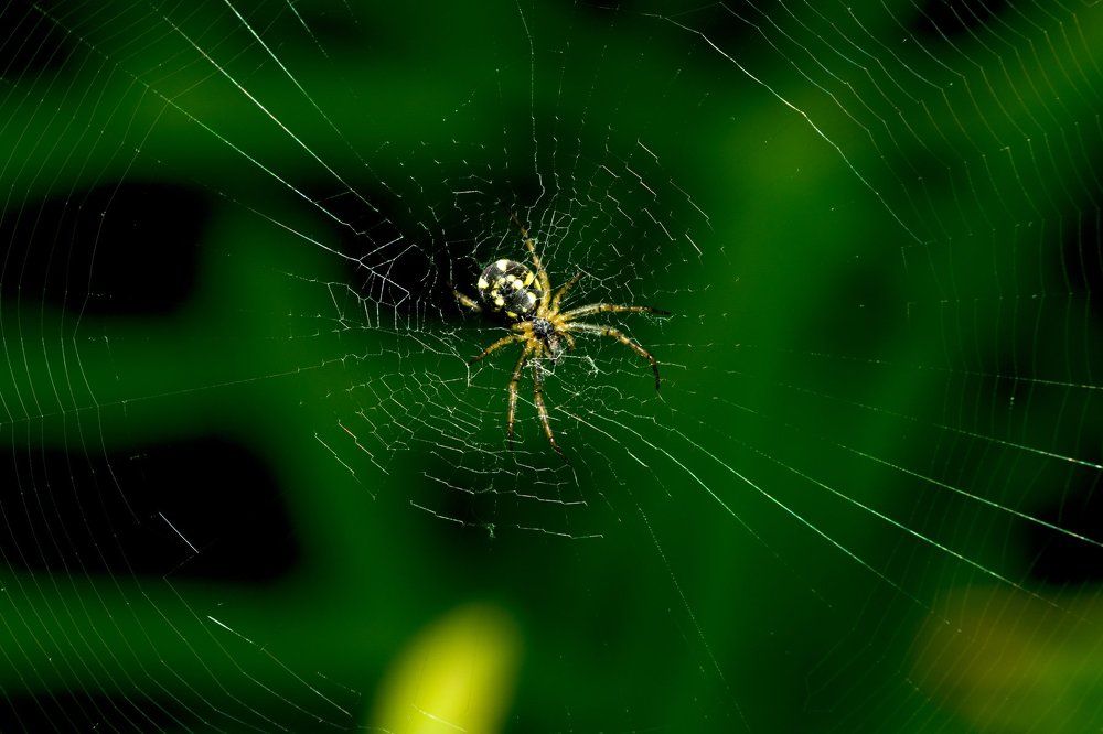 Photograph by Иван