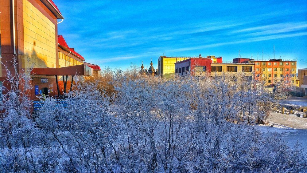 Фотография автора Александр Ши