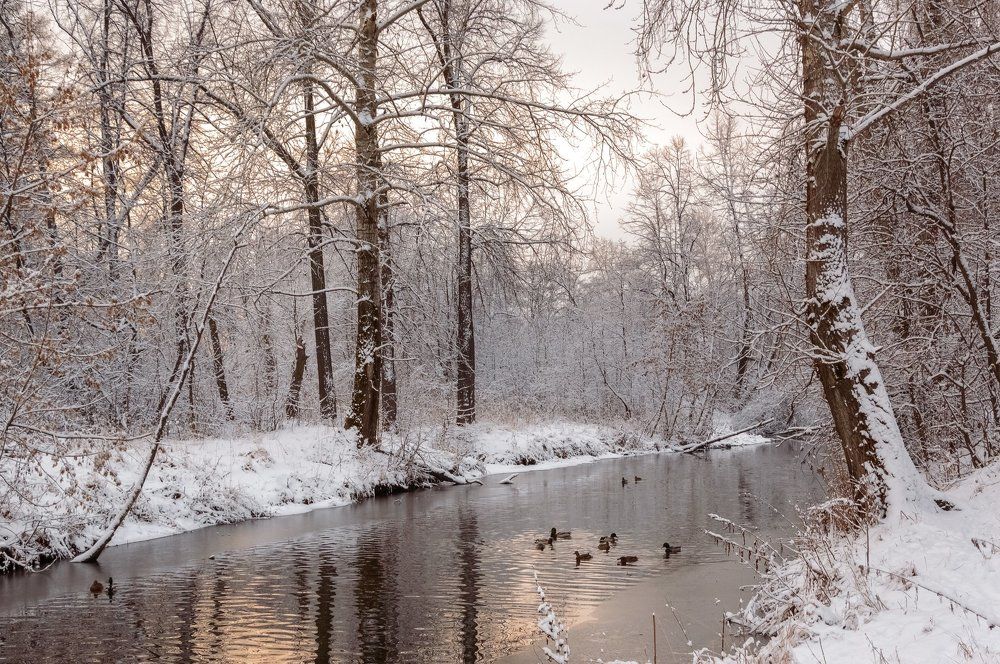 Ноябрь в парке