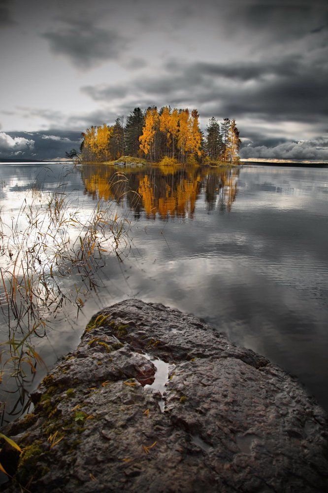 После дождя