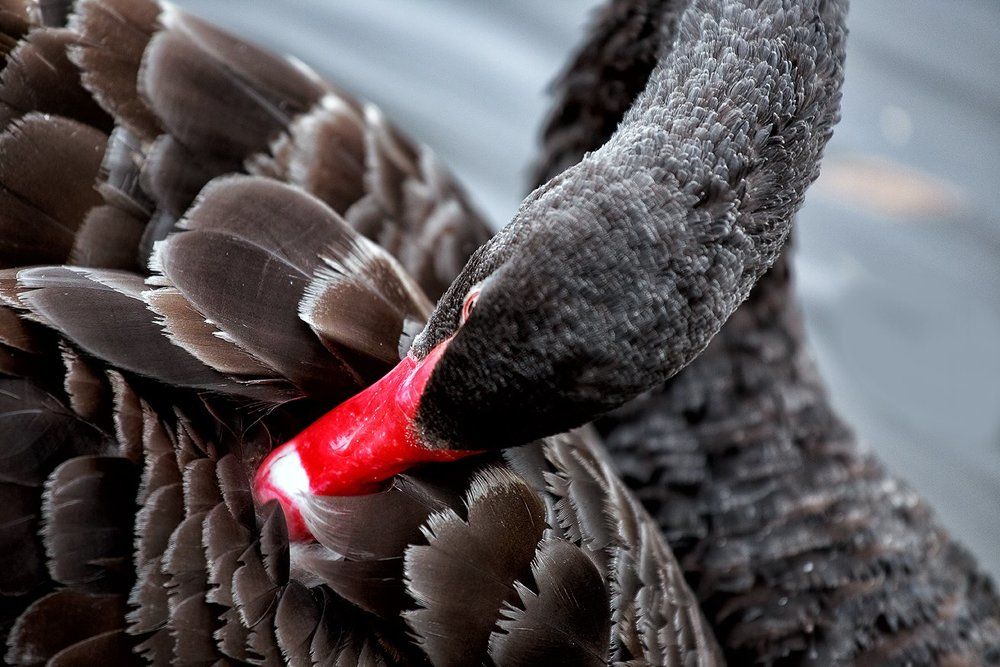 Photograph by Мария Шайген