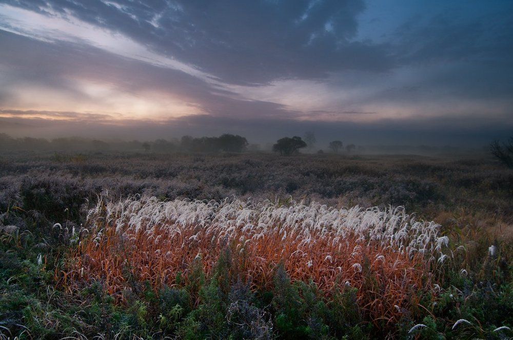 Среди туманных полей
