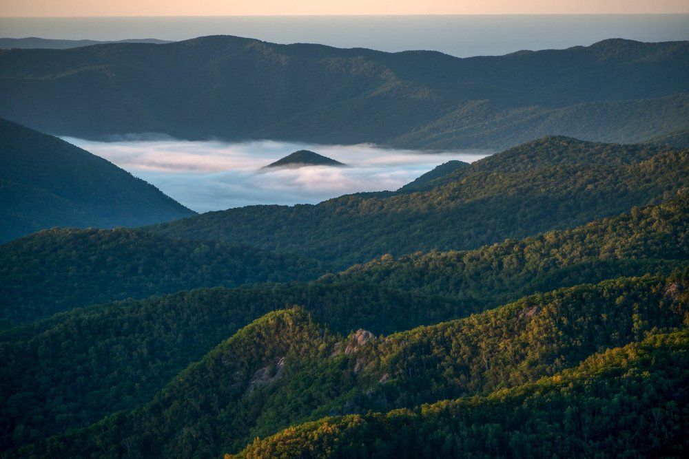 Когда спящий проснётся...