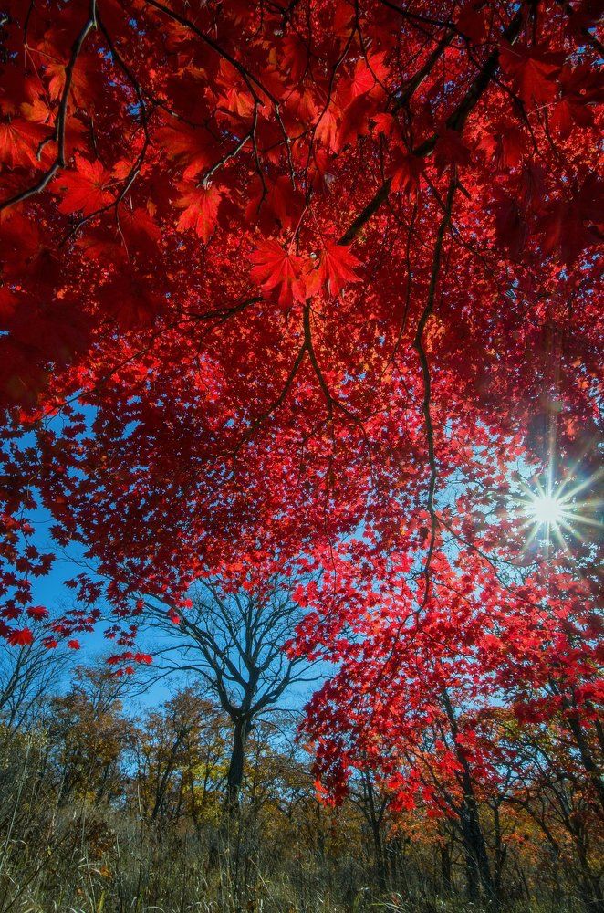 Краски осени