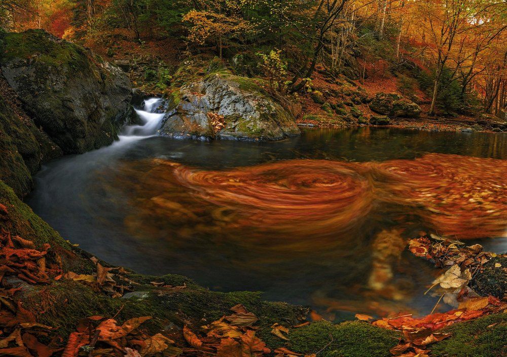 Photograph by Eddie Adamov