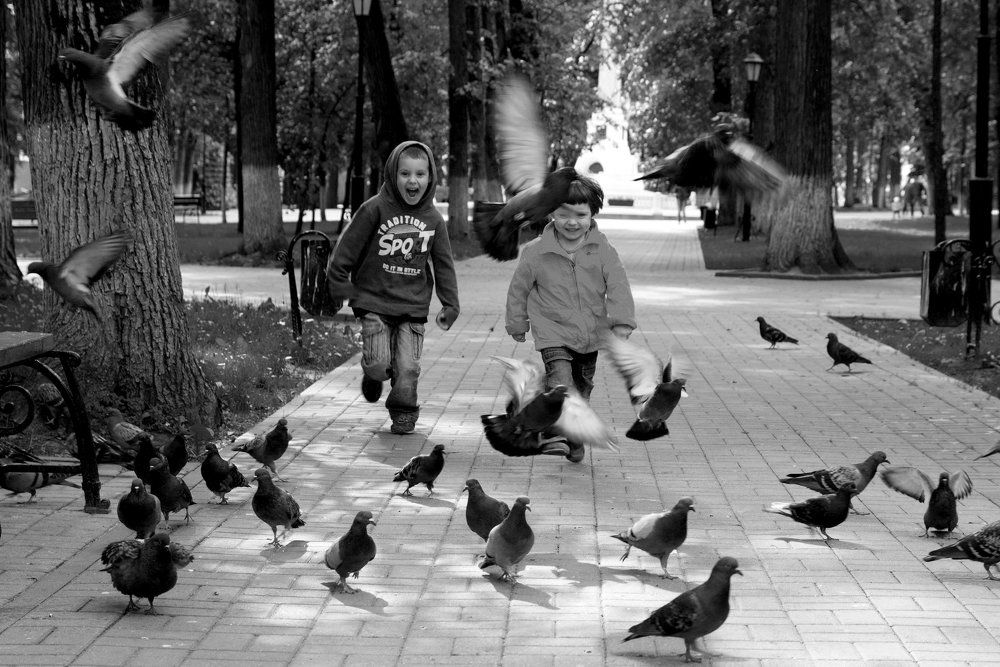 Гоняй голубей