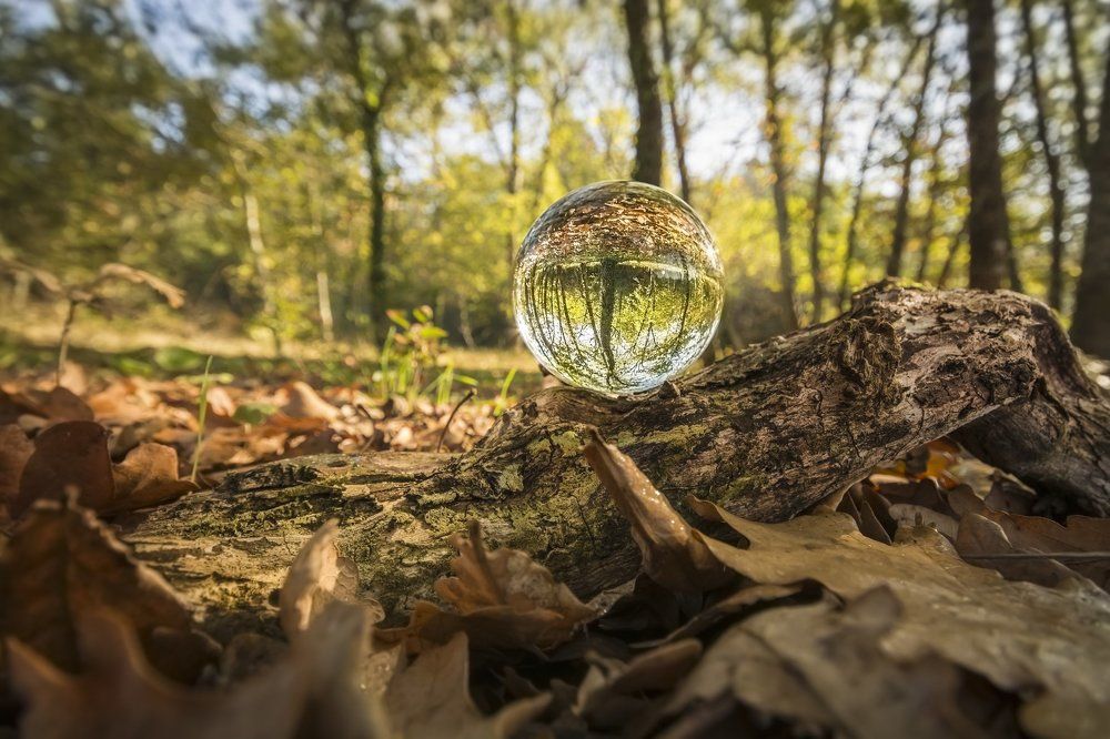 Autumn Inside - осень внутри