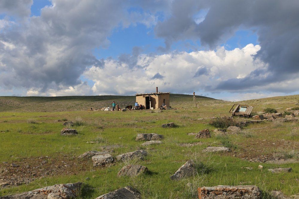 Летнее кочевье. После дождя.