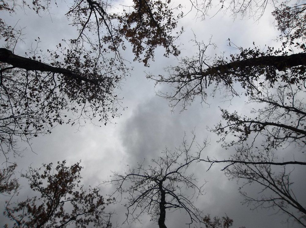 Скапано време