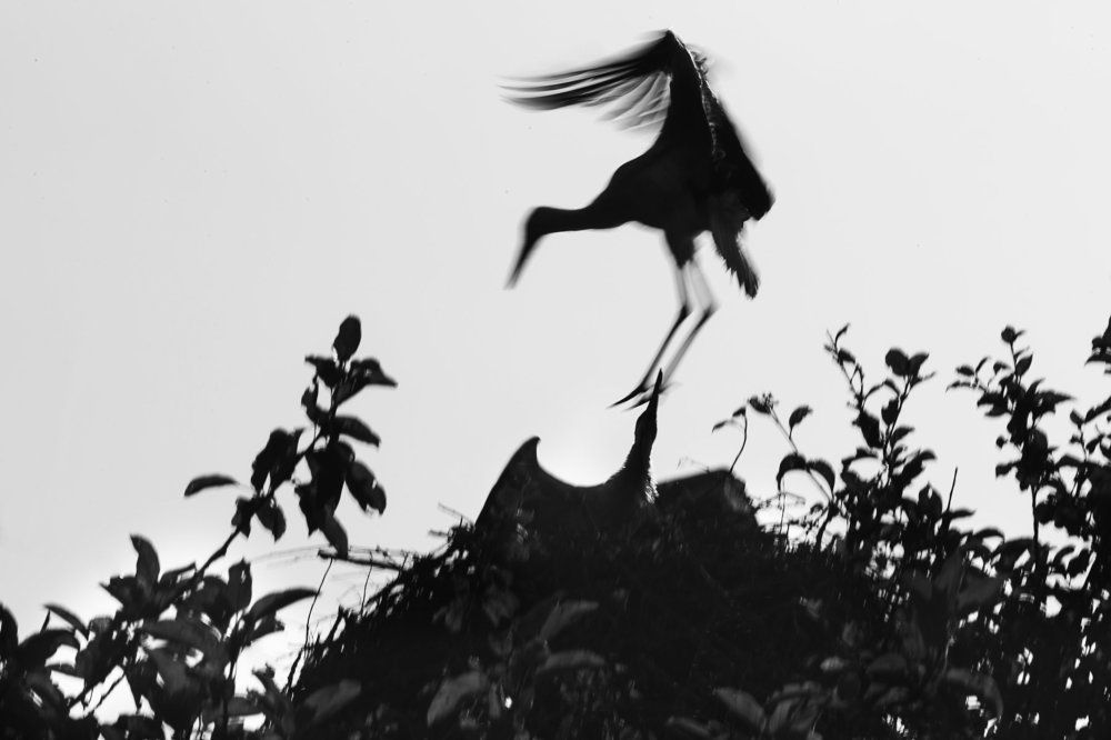 Photograph by Мария Шайген