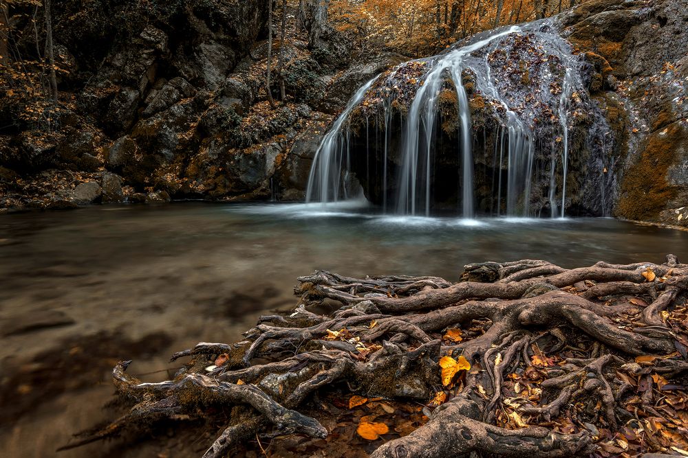 Photograph by Александр Хорошилов