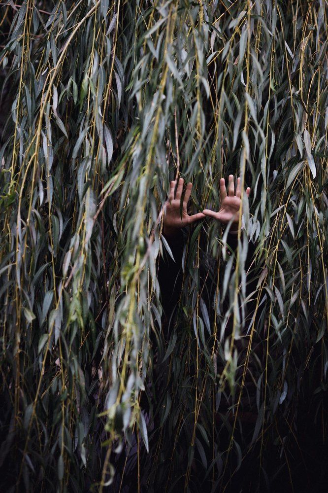 Photograph by Ксения Гербек