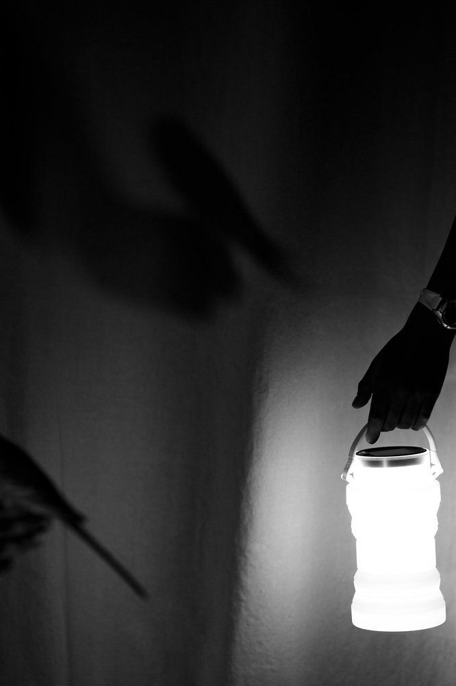 Photograph by Ксения Гербек