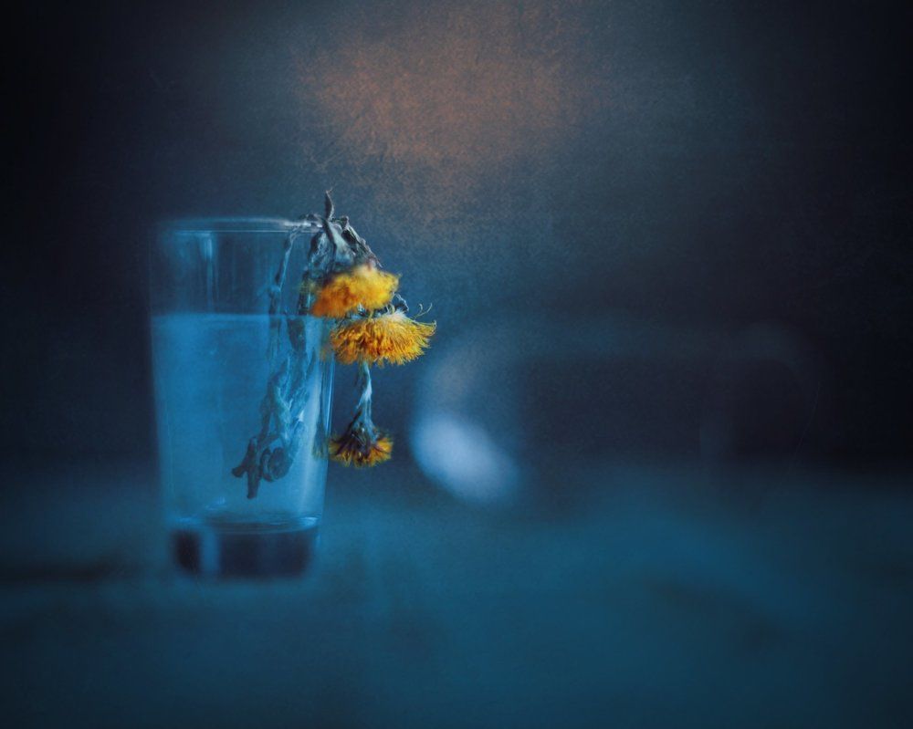 Сон мать и мачехи