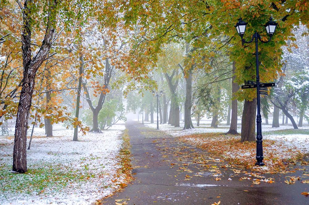 Осенний снег