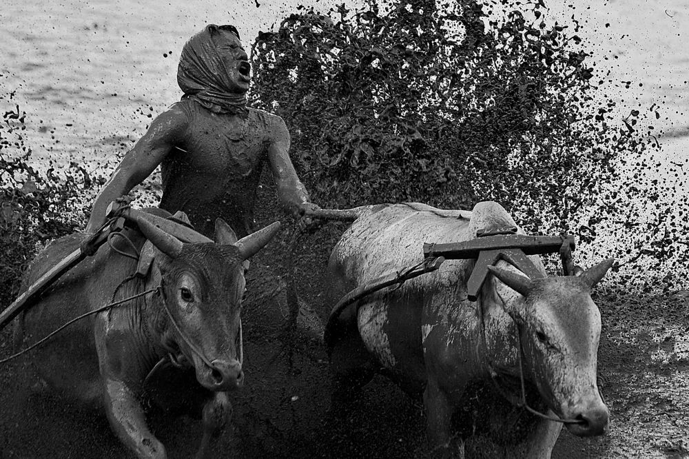 the expression of the jockey