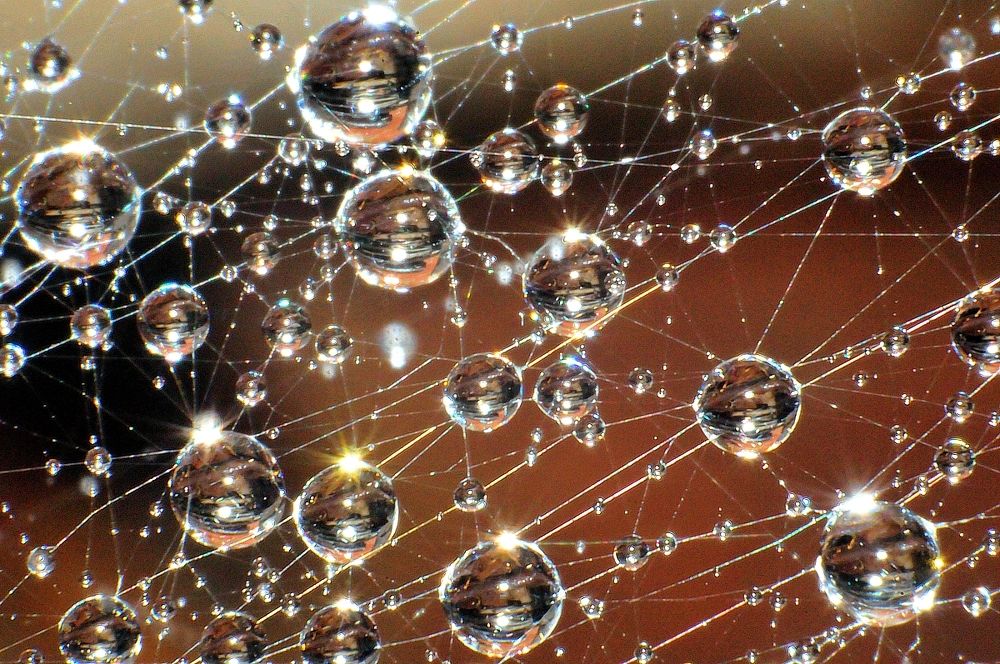 Скопление...