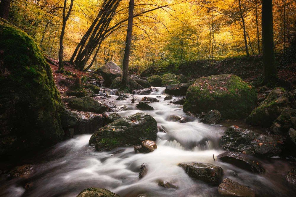 fast running water in autumn