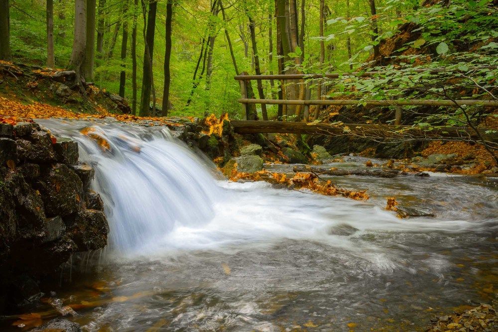 side running water in autumn