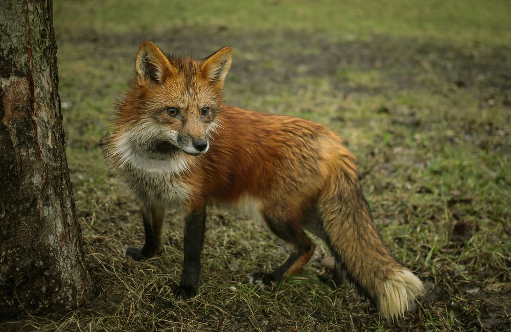 Photograph by Andrey Rut