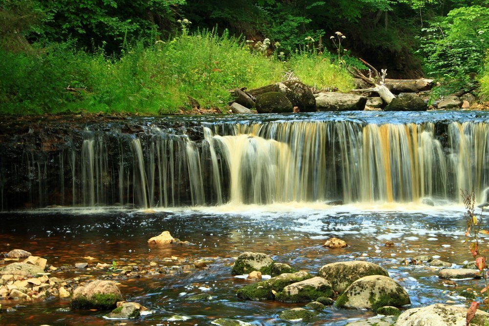 Каскад на реке Прикша (Новгородская обл.)