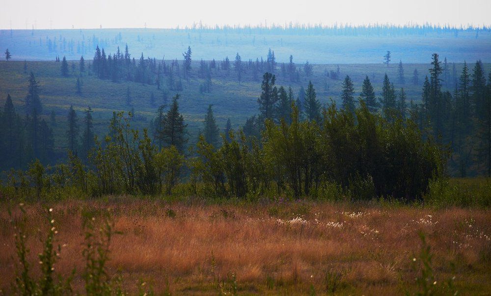 Осень. Ямал.