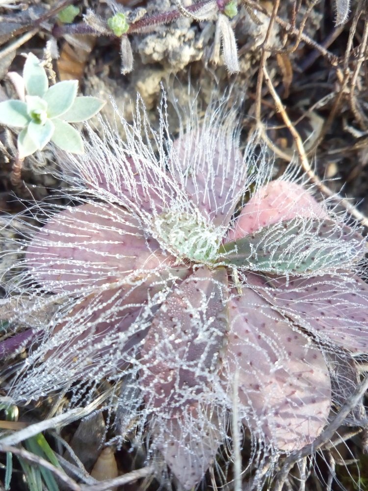 Утренний наряд