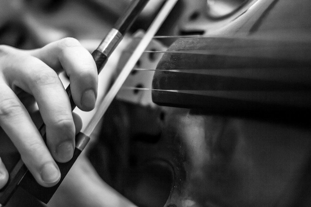 Звуки музыки