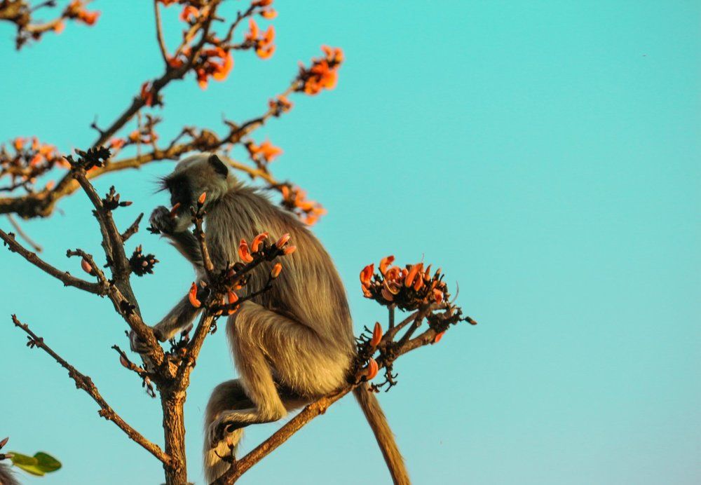 Photograph by sacheth mahipal