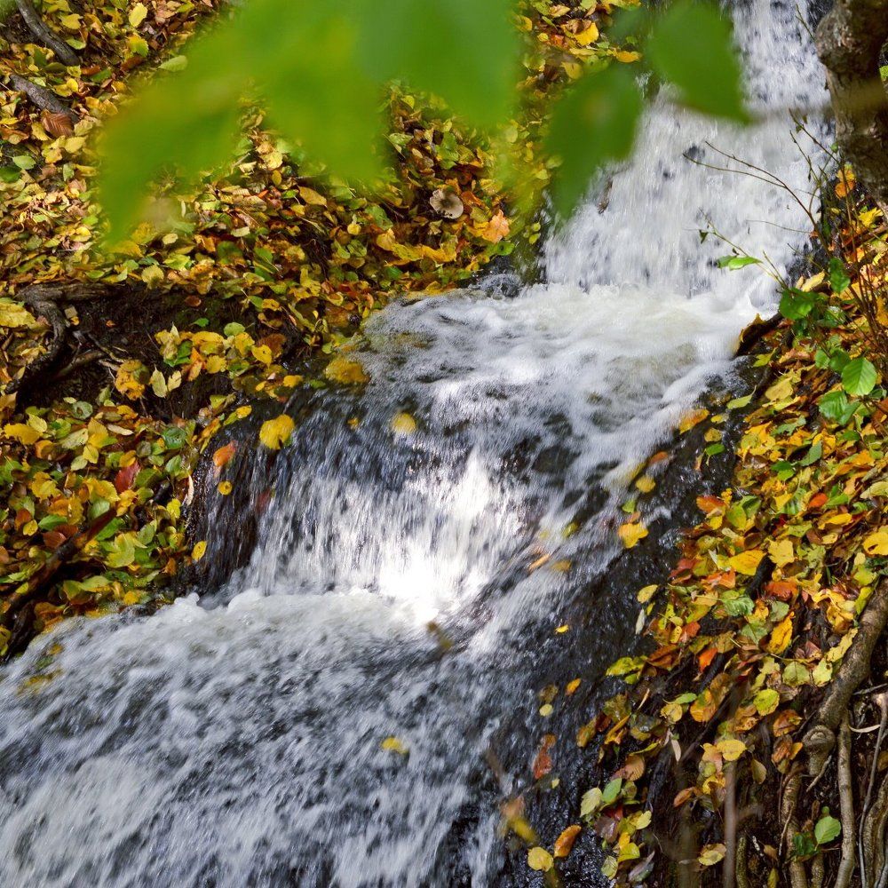 Водопад-листопад