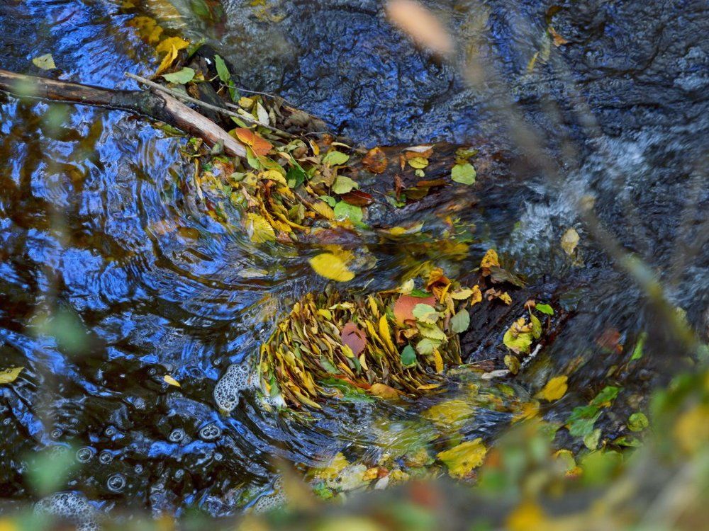Врата водопада