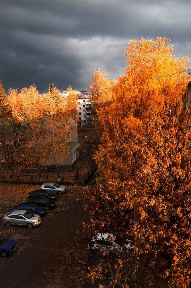 Глаза на небе