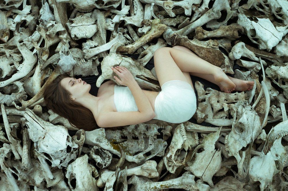 Фотография автора Катарина Винниченко