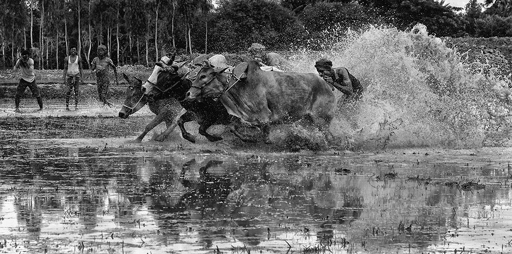 Photographer in Action