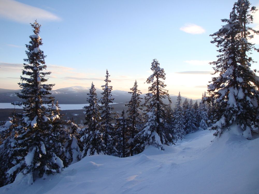 Photograph by Анастасия