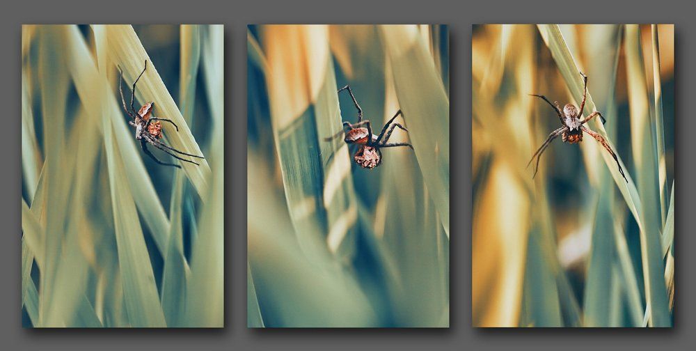 Последние запасы