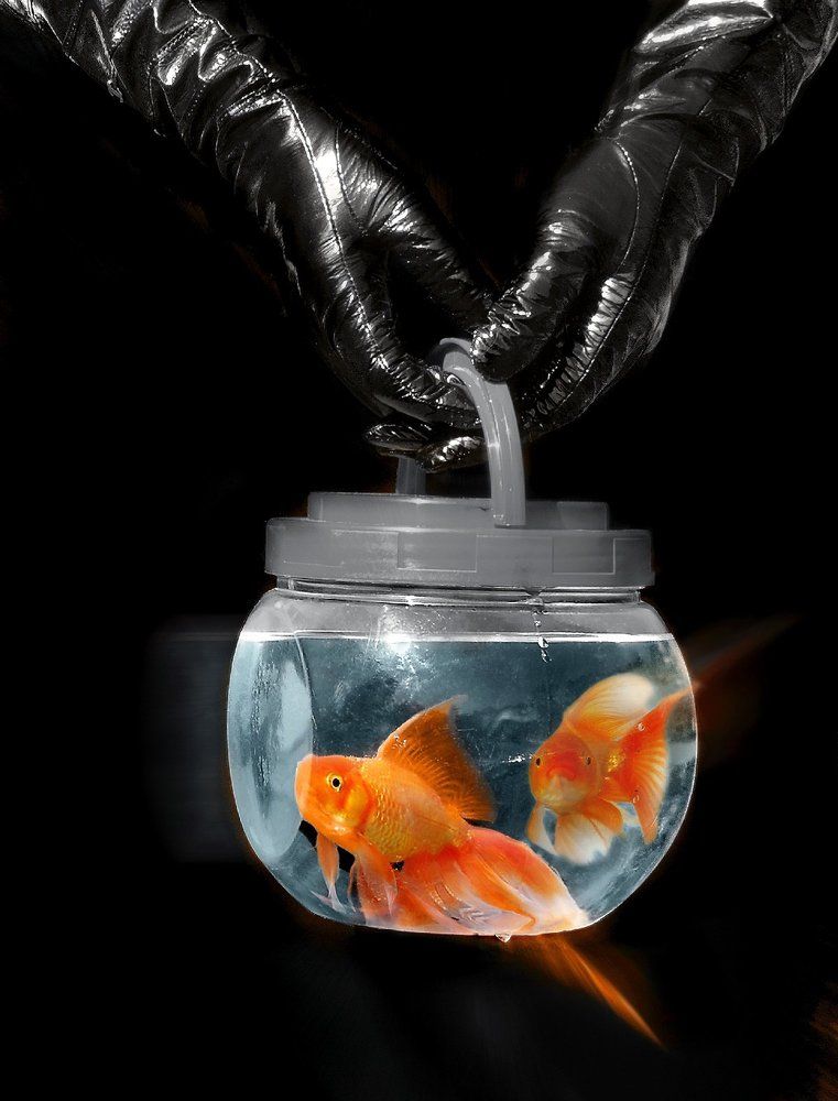 Шесть желаний в одних руках