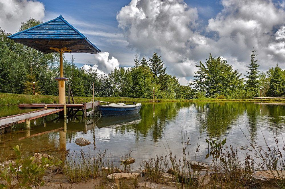 Лесное озеро