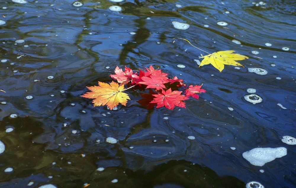 Засентябрило.