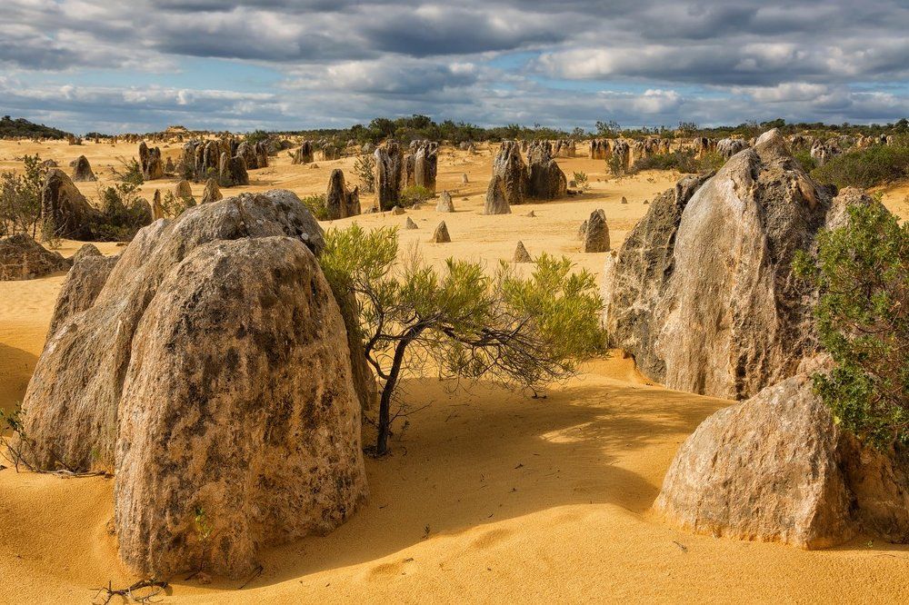 Тысячи башенок пустыни Pinnacles