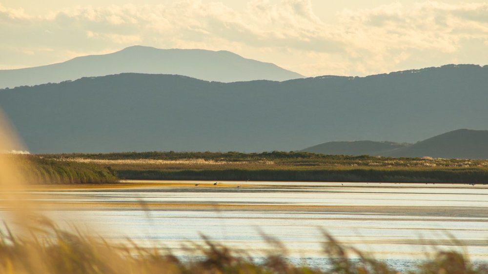 Photograph by Валентин Кольцов