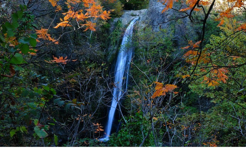 Осень:в жизни и в природе